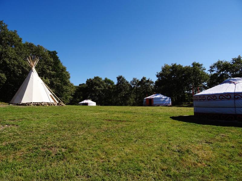 Yurt image 2