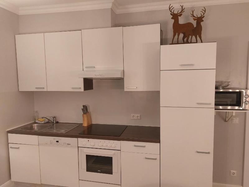 One-Bedroom Apartment image 4