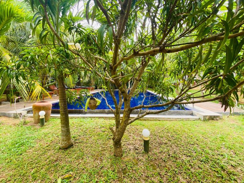 Hidden Garden Tangalle - image 9