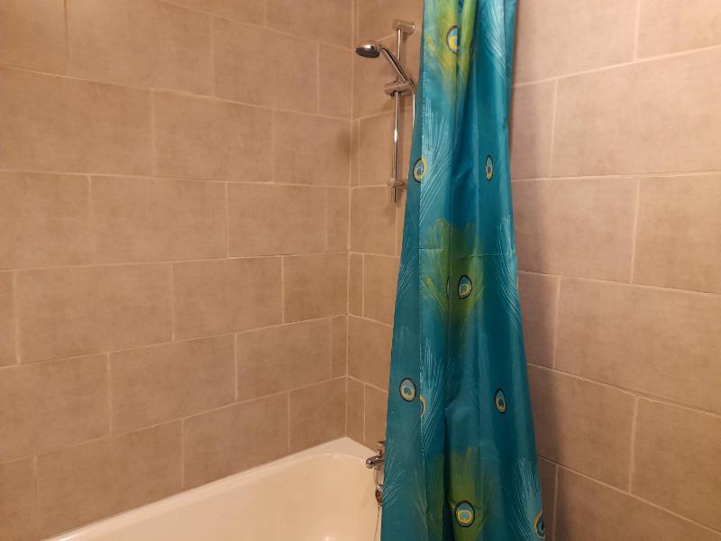 One-Bedroom Apartment image 4