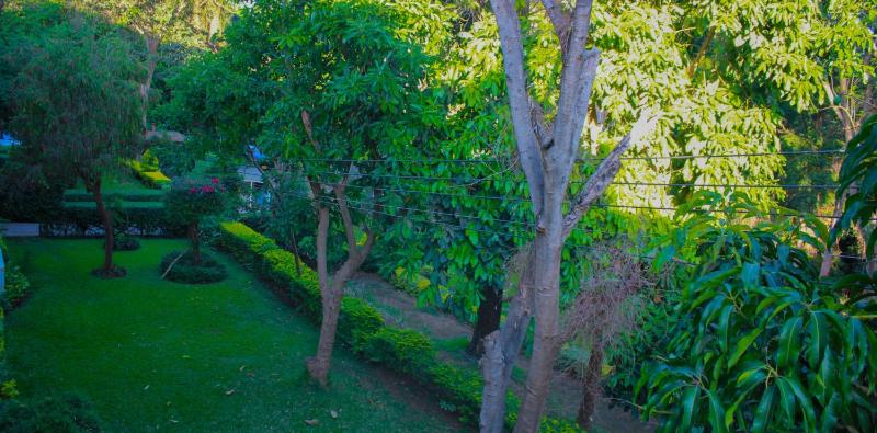 Equator Hotel - image 14