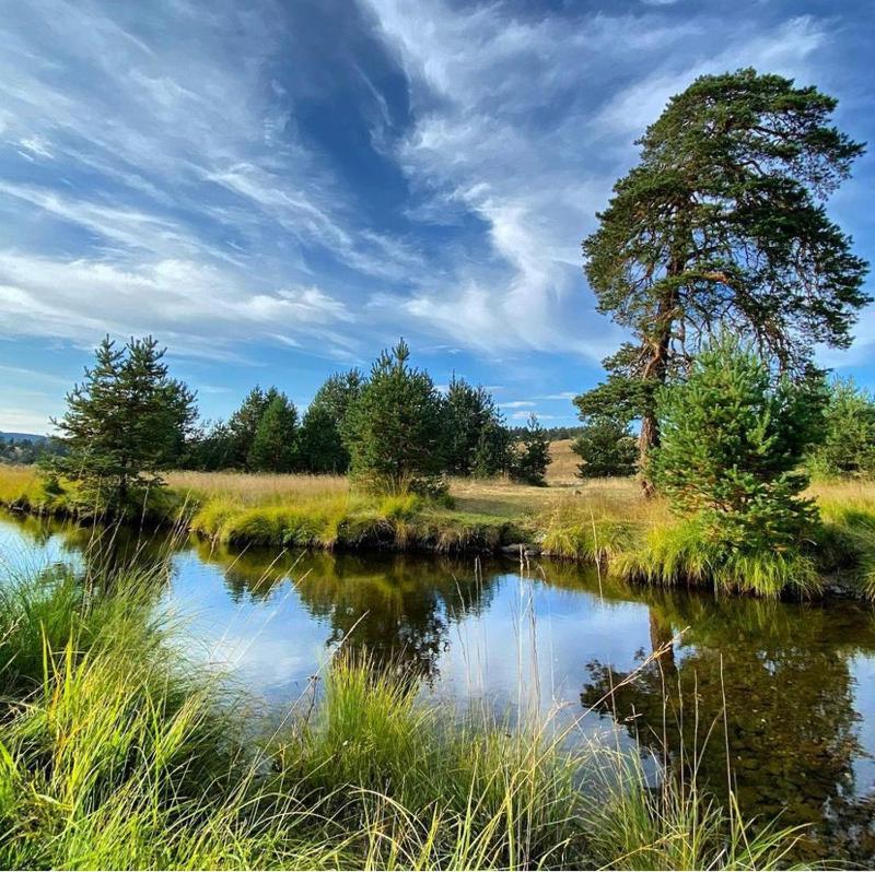 Vila Čarna Zlatibor - image 10