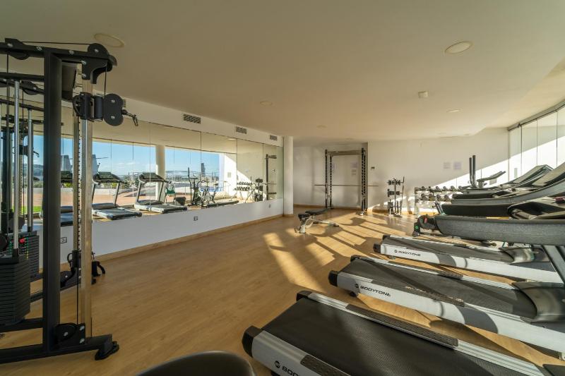 Penthouse Apartment image 2
