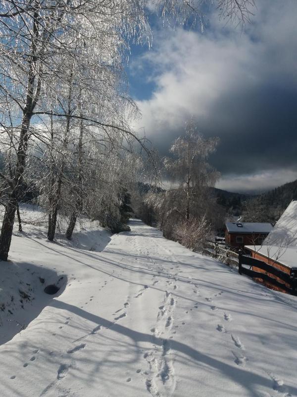 Chalet image 3