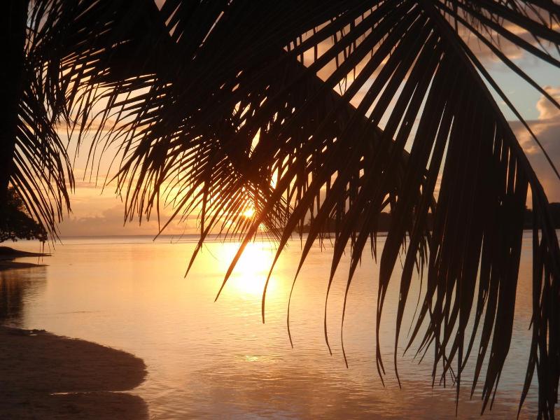 Erakor Island Resort & Spa - image 5