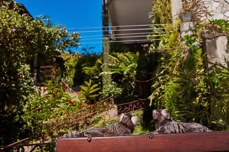 Boutique Hotel Marlin's - image 23