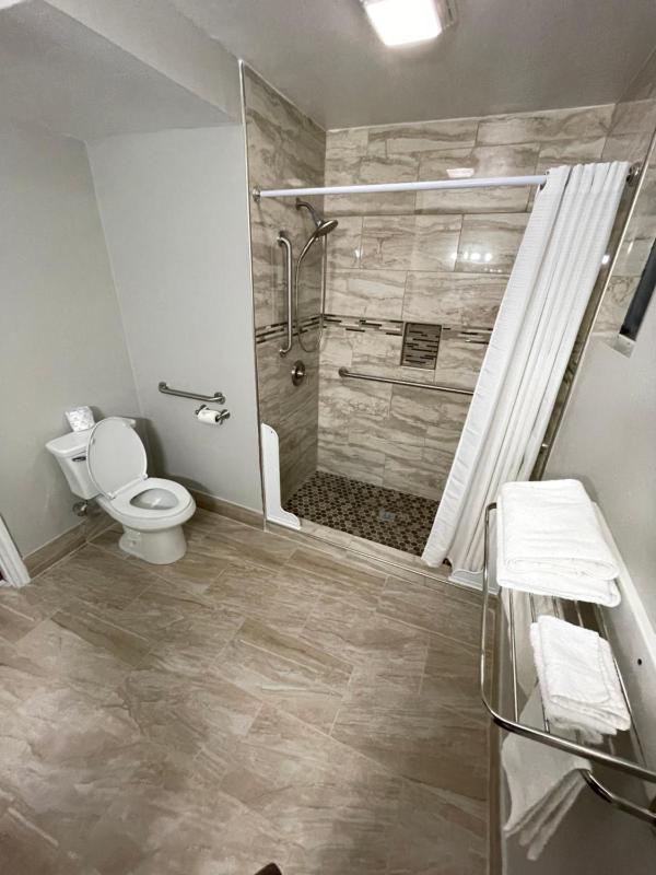 Single Room - Disability Access