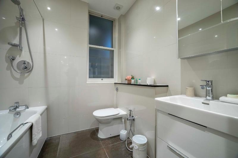 One-Bedroom Apartment image 3