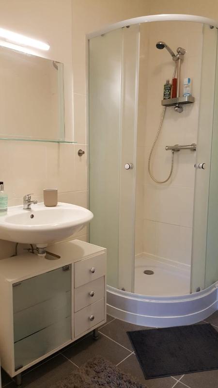 One-Bedroom Apartment image 4