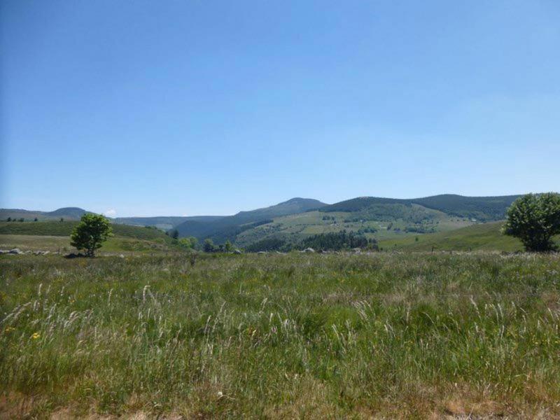 Holiday Home (6 Adults) image 4