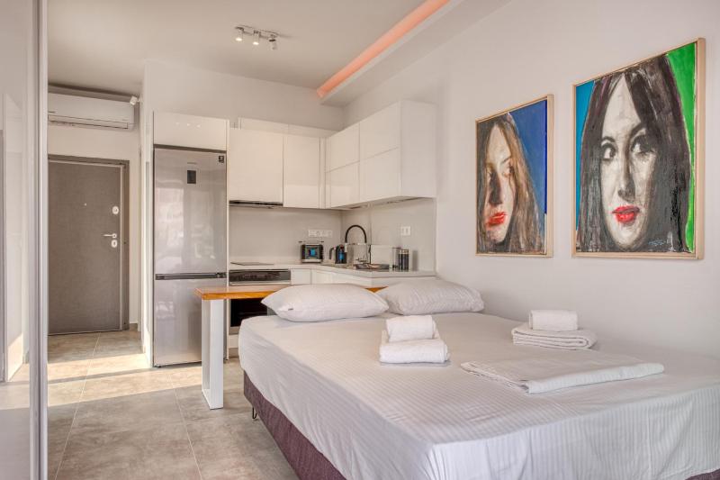 One-Bedroom Apartment image 4