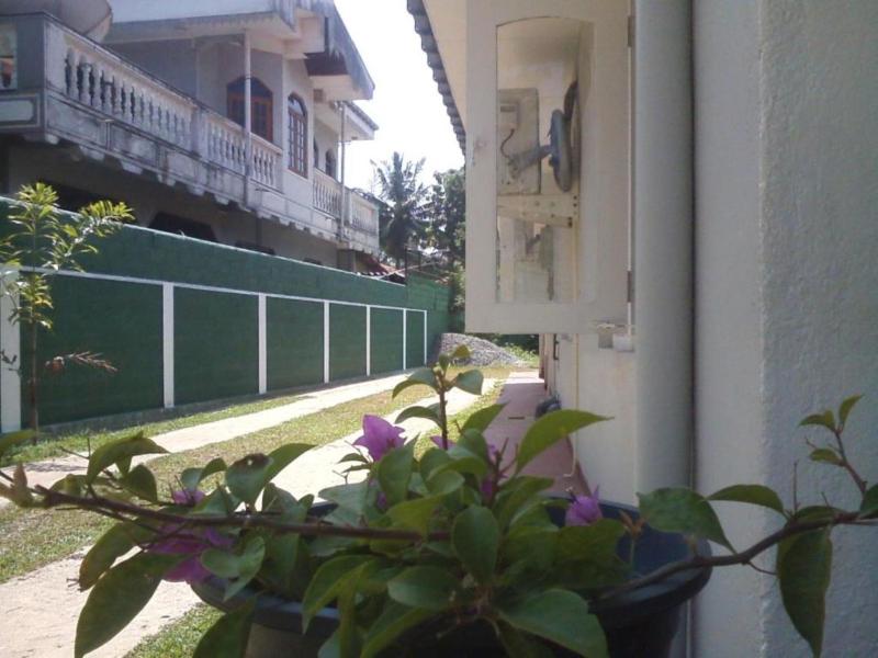 Lotus Hostel - image 8