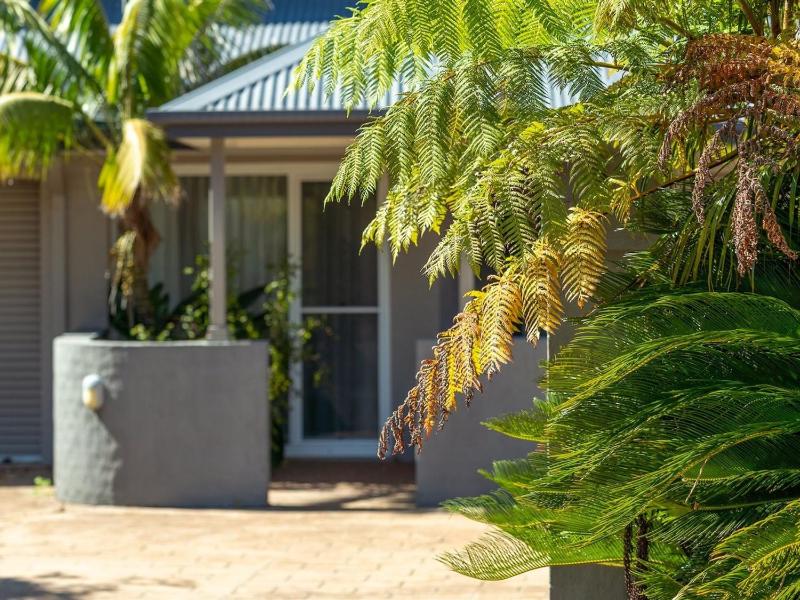 Lucys at the Bay - image 12