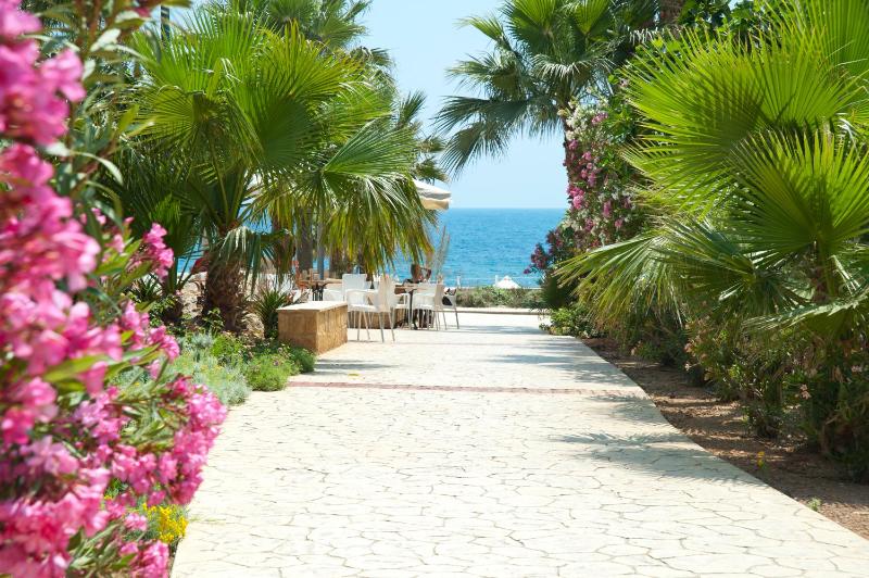 Akti Beach Hotel & Village Resort - image 9