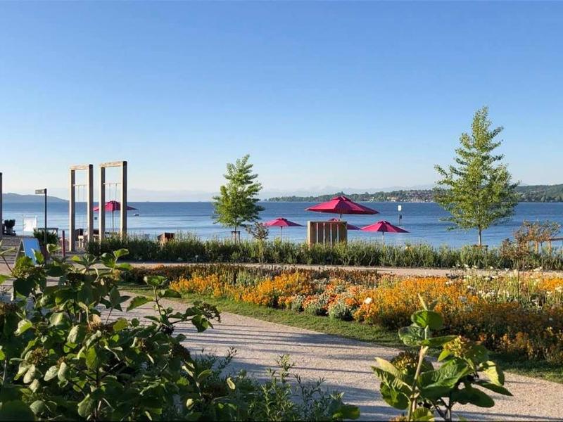 Suite with Lake View image 3