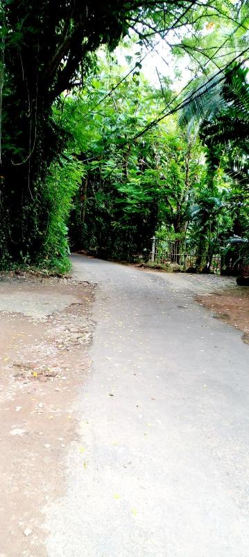 Green Villa - image 13