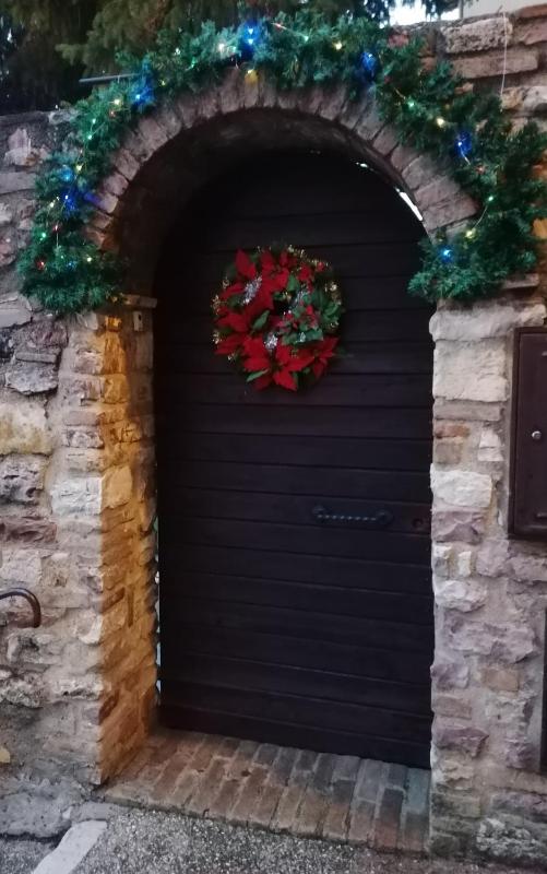 Assisi Garden Suite - image 4