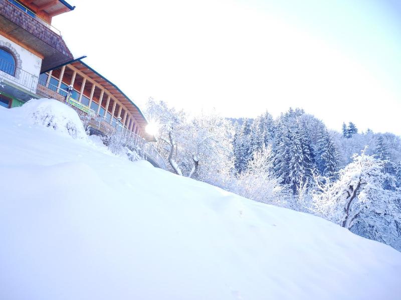 Deluxe Double or Twin Room with Mountain View image 3