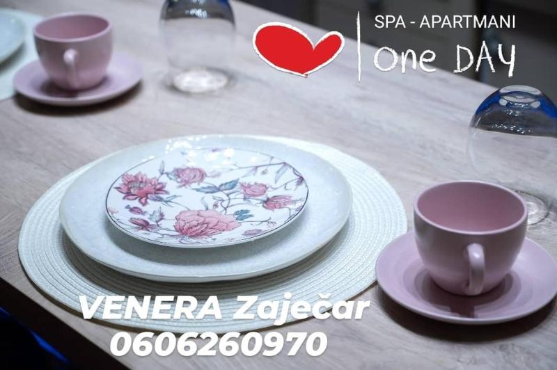 Spa Apartman URBAN Life ZAJEČAR - image 4