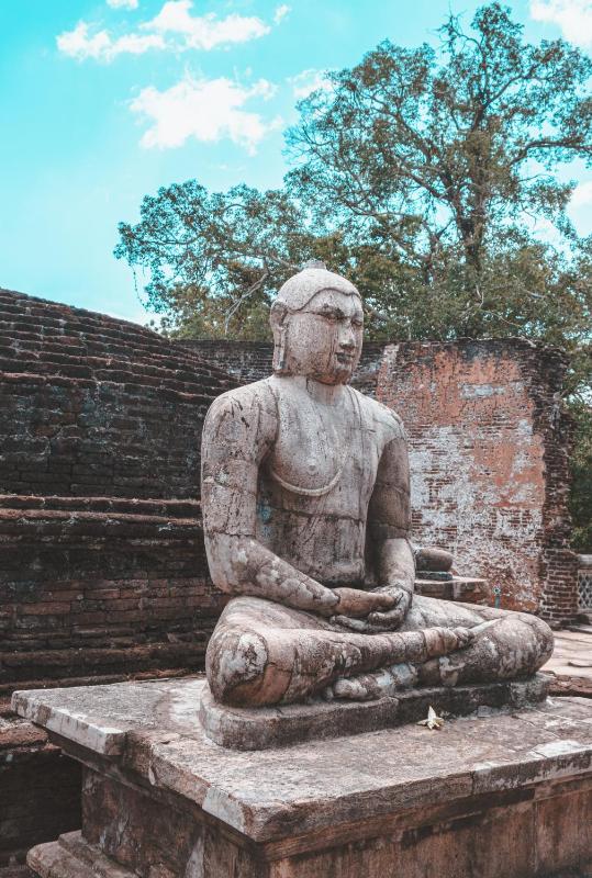 Sigiriya Lakmal Resort - image 10