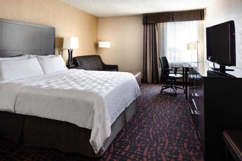 One-Bedroom King Suite with Sofa Bed image 2
