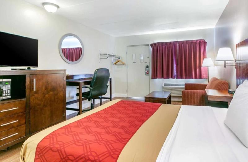 Single Room image 1