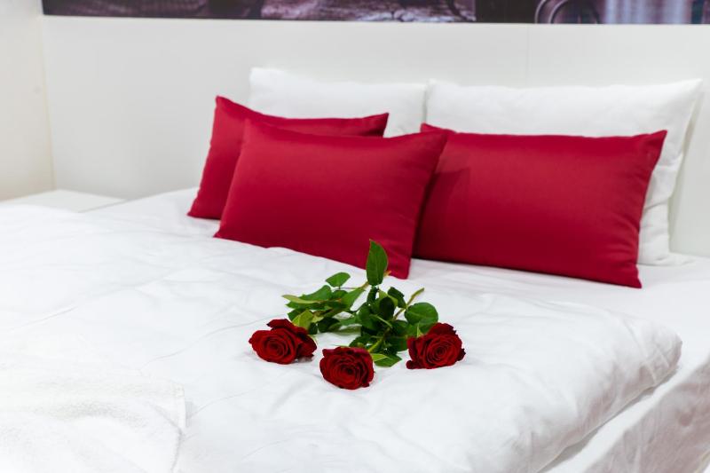 Deluxe Double or Twin Room image 4