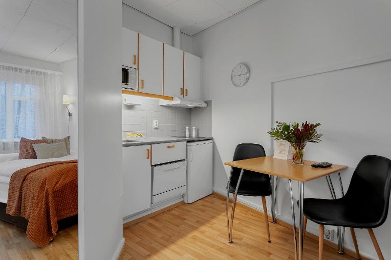 Studio Apartment image 3
