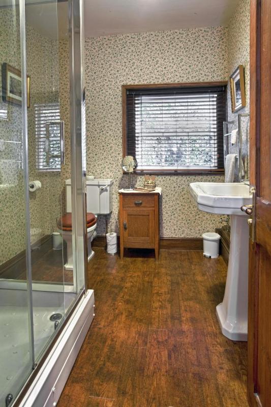 Deluxe Double or Twin Room with River View image 3