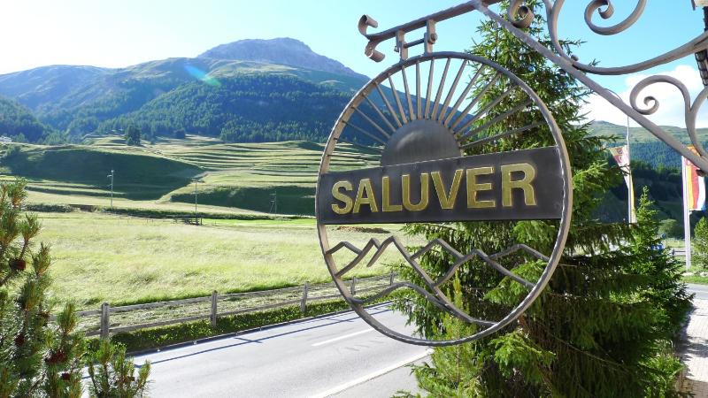 Hotel Saluver - image 17