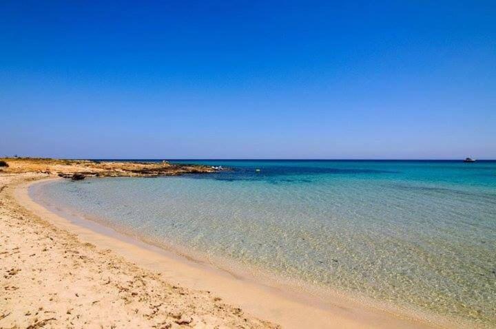 Archiammare Sea - image 43