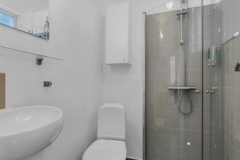 One-Bedroom Apartment image 2