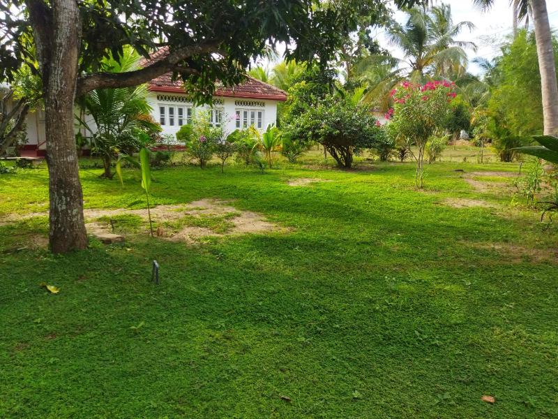 Glorious Villa - image 27