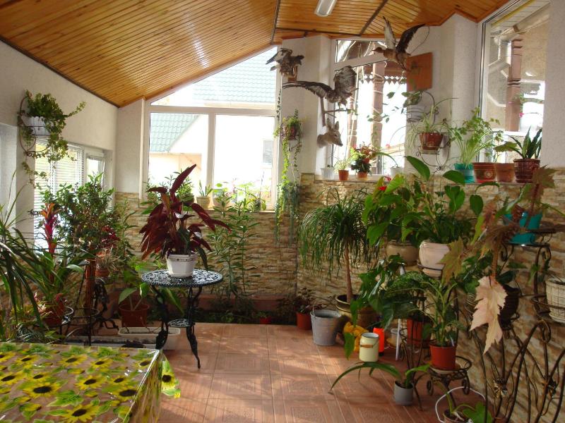 Vyshenka Guest House - image 7