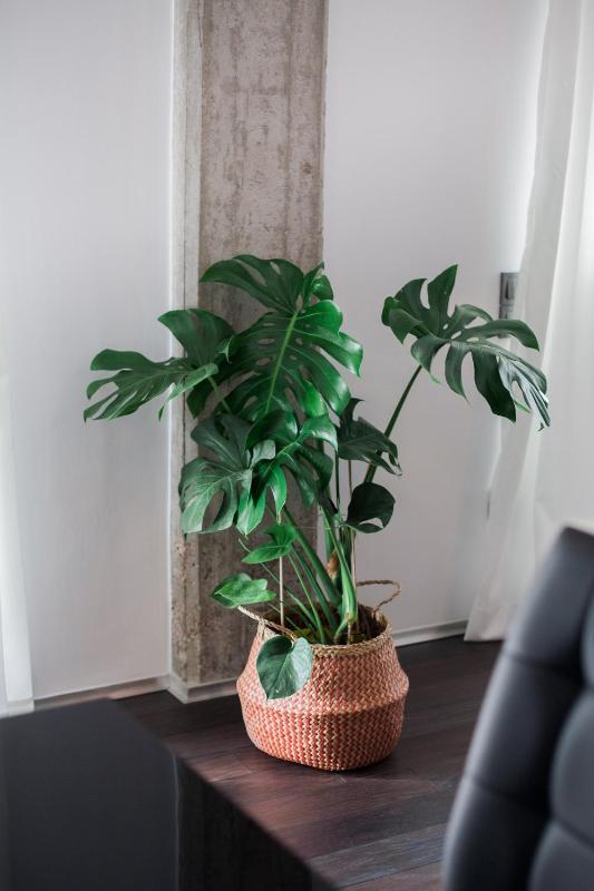Industrial 1BR Apartment in Ampelokipoi Area by UPSTREET - image 16
