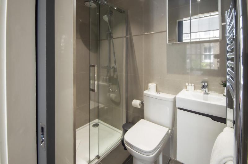 One-Bedroom Apartment image 2
