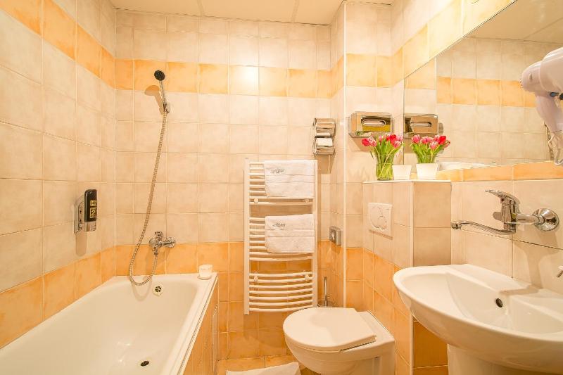 Single Room image 4