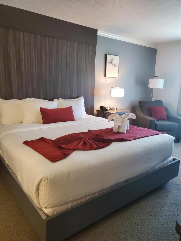 King Room image 4