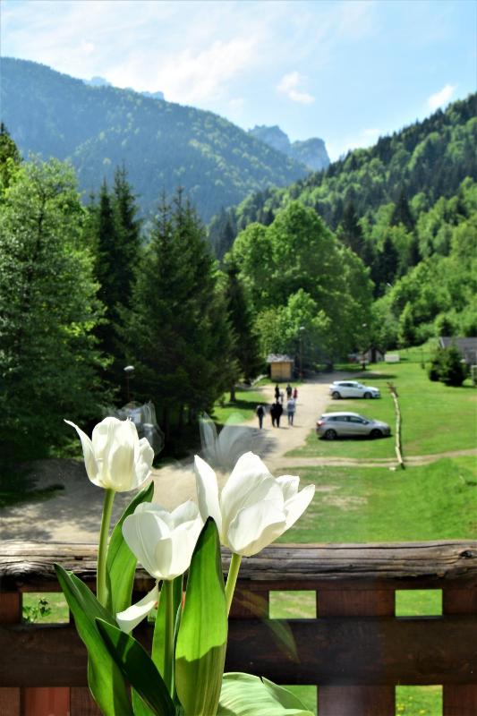 Superior Double Room with Mountain View image 3