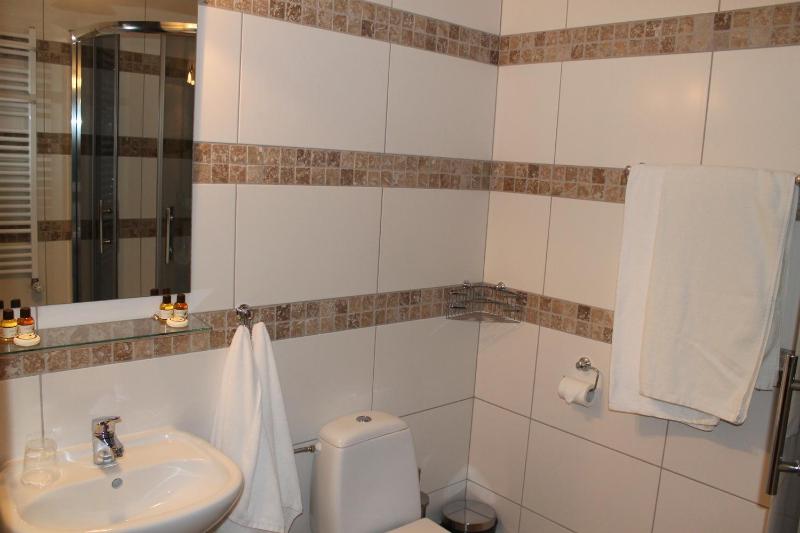 Single Room image 4