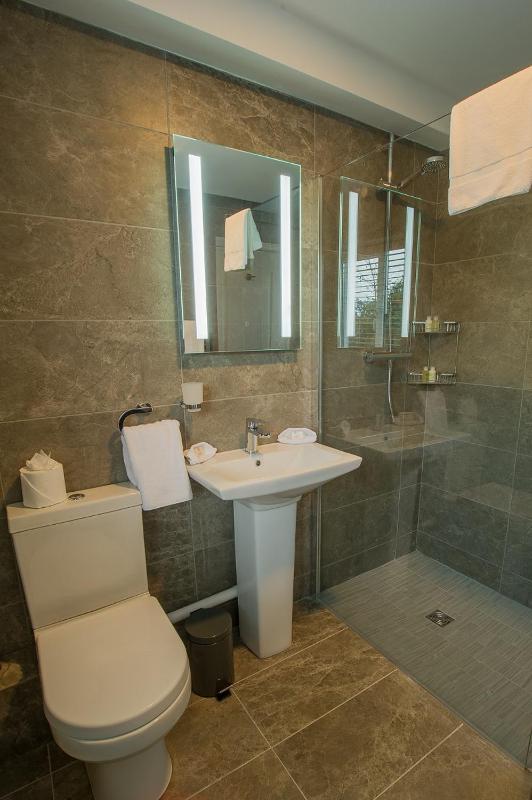 Deluxe Twin Room image 2