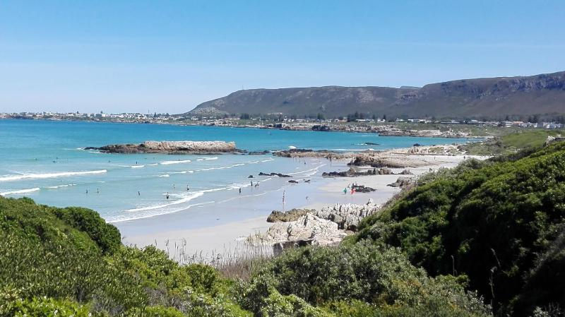 Valentines Hermanus - image 16