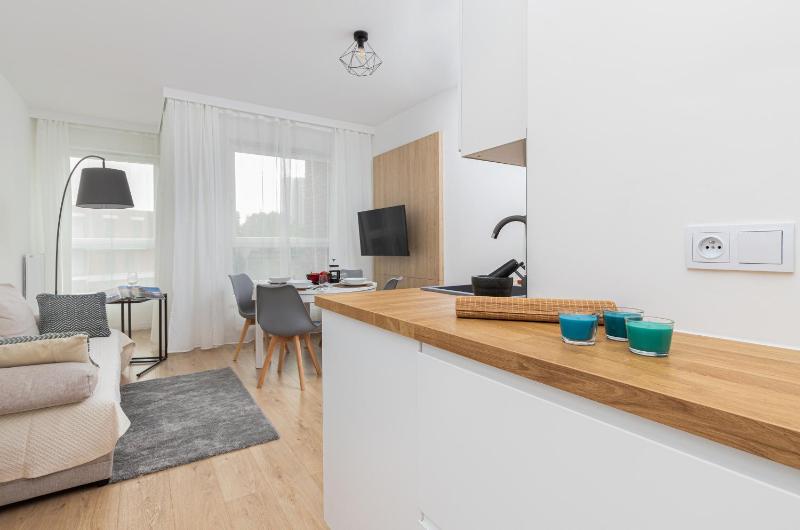 Baltic Nomad Studio Bastion Walowa Old Town by Noclegi Renters - image 8