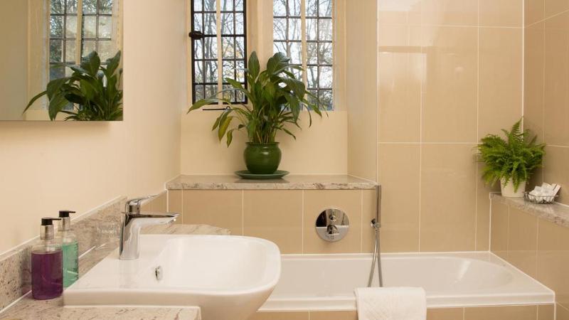 Main House - Double or Twin (No Pets) image 3