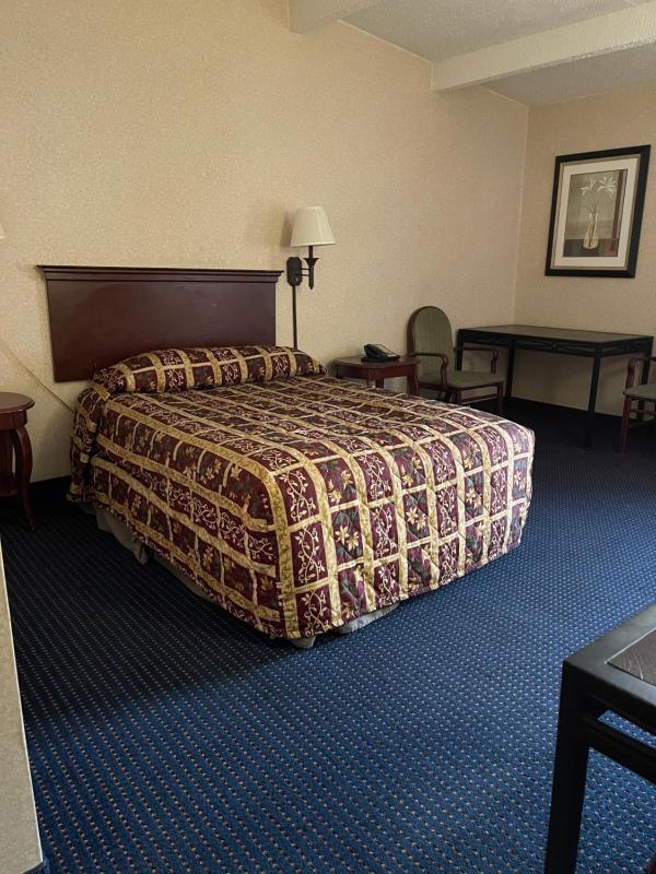 Single Room image 1