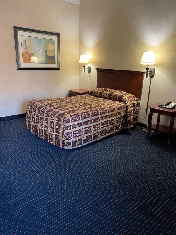 Single Room image 4