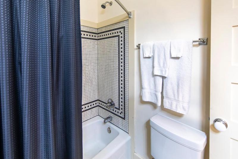 One-Bedroom Apartment image 4