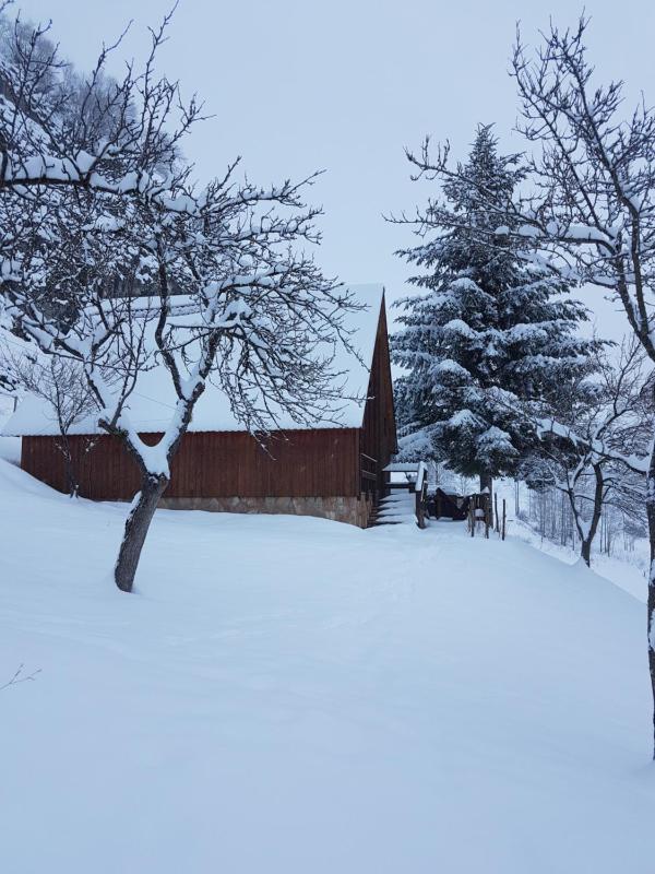 Superior Bungalow image 3