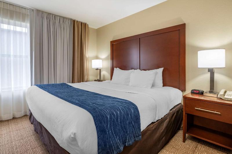 King Suite with Sofa Bed image 3