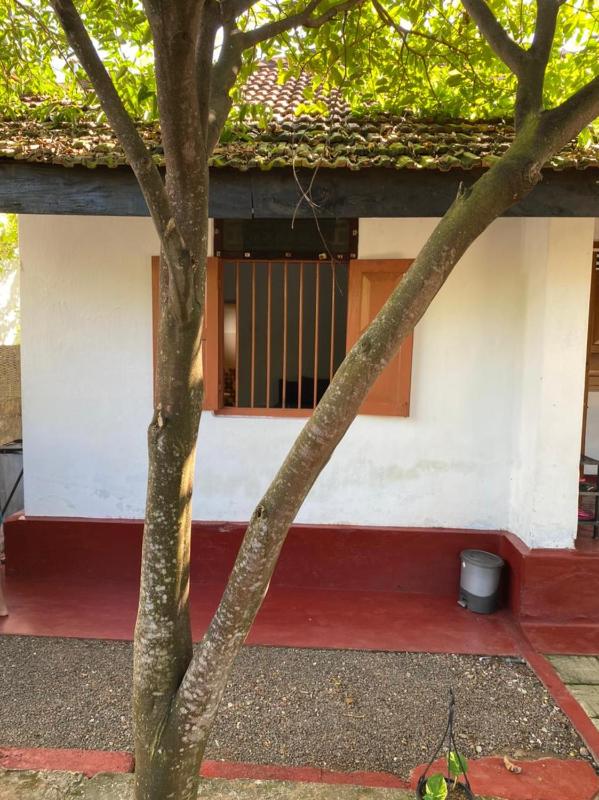 Ami place Rooms with Kitchen - image 42